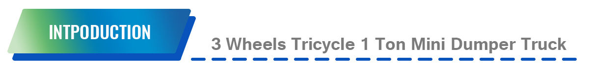 3 Wheels Tricycle左