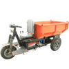 3 Wheels Tricycle 1 Ton Mini Dumper Truck